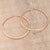 Rose Gold Plated Classic Hoop Earrings